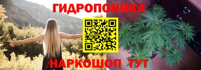 тгк Коммунар