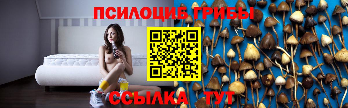 Псилоцибиновые грибы мухоморы Котлас